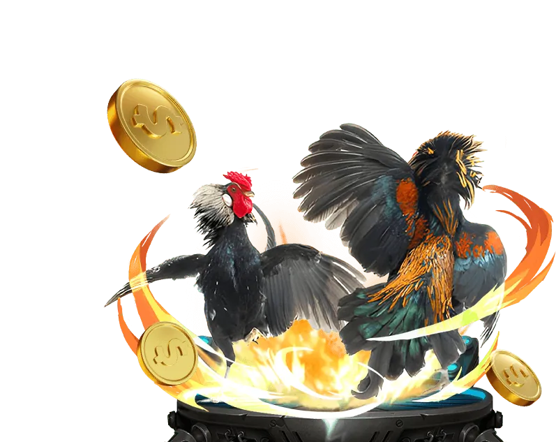 Các loại hình đá gà phổ biến